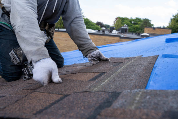 Best Roof Repair Services  in Metlatla, AK