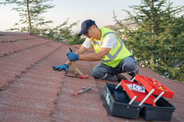 Best Sealant for Roof  in Metlatla, AK