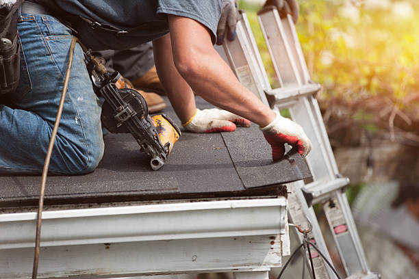 Best Roof Gutter Cleaning  in Metlatla, AK
