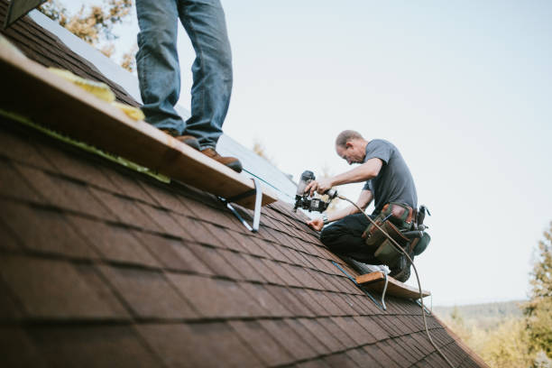 Best Roof Waterproofing Services  in Metlatla, AK