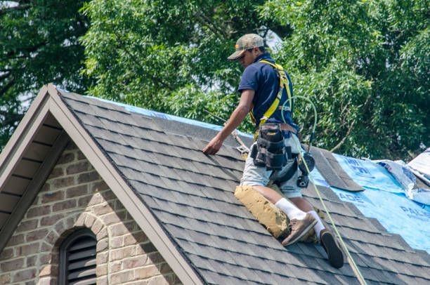 Best Gutter Installation and Roofing  in Metlatla, AK